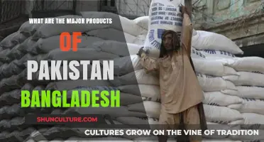 Exploring Pakistan and Bangladesh's Key Exports and Economic Contributions