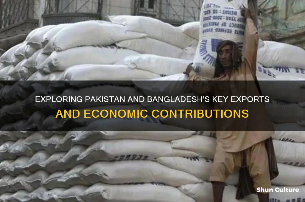 what are the major products of pakistan bangladesh