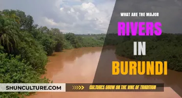Exploring Burundi's Lifelines: A Guide to Its Major Rivers