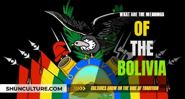 Bolivia's Rich Cultural Meanings and Their Significance