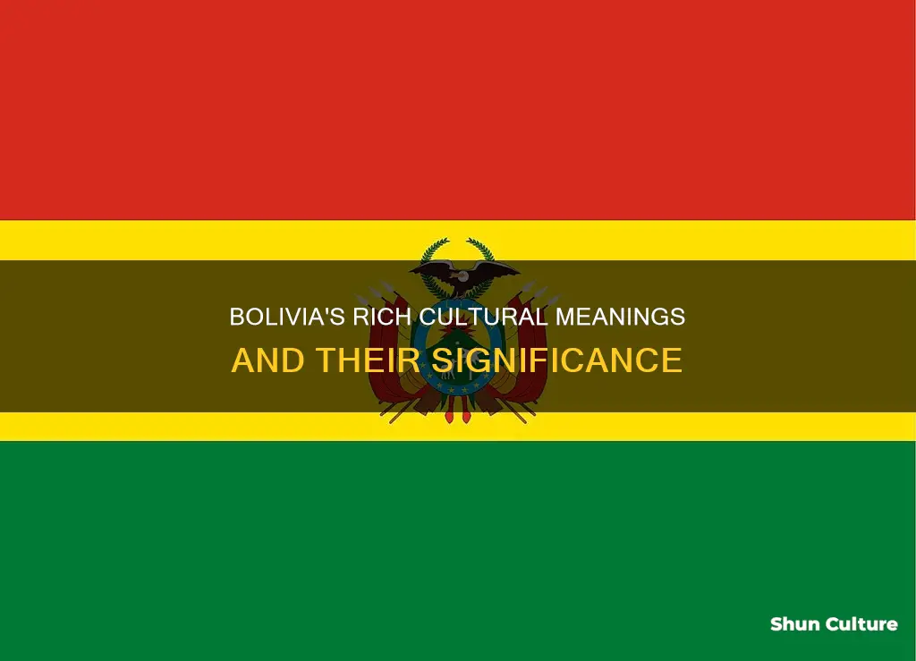 what are the meanings of the bolivia