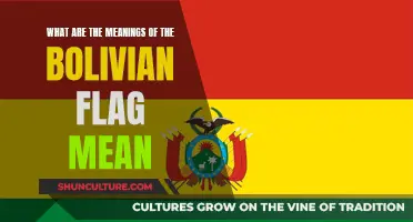 Bolivia's Tricolor: History and Meanings Explored