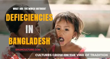 Addressing Hidden Hunger: Micronutrient Deficiencies in Bangladesh Explained