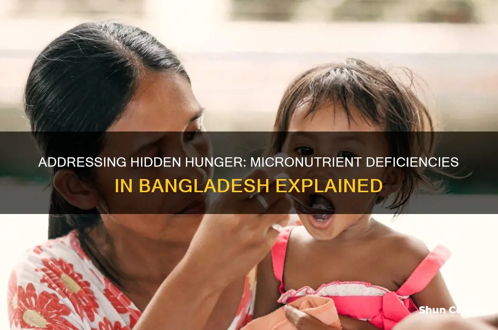what are the mirco nutrient defieciencies in bangladesh