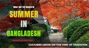 Exploring Bangladesh's Summer Months: A Seasonal Guide to the Heat