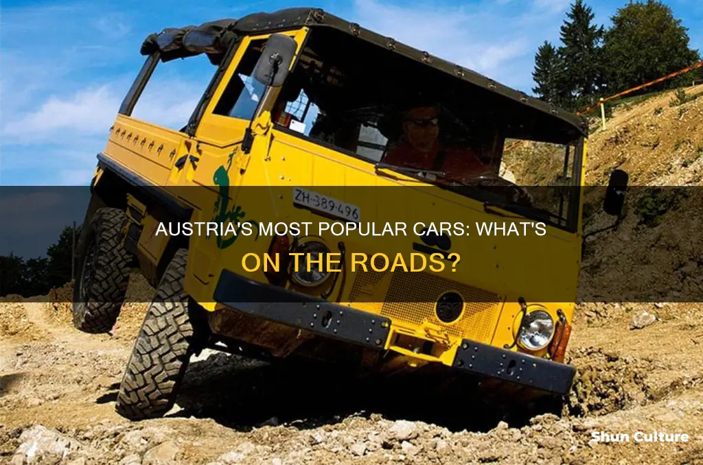 what are the most common cars in austria