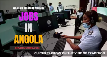 Lucrative Careers: Angola's Most Common Job Opportunities