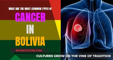 Cancer in Bolivia: Understanding the Most Common Types