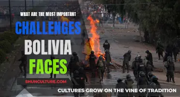 Challenges Facing Bolivia: Economy, Politics, and Social Issues