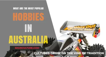Exploring Australia's Favorite Pastimes: Popular Hobbies Down Under