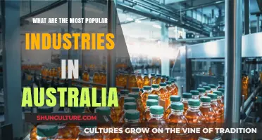 Australia's Top Industries: Where's the Money?