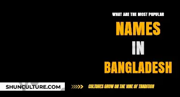 Discovering Bangladesh's Most Popular Names: Trends and Cultural Insights