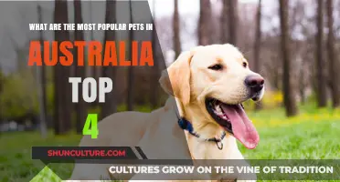 Australia's Favorite Pets: The Top Four