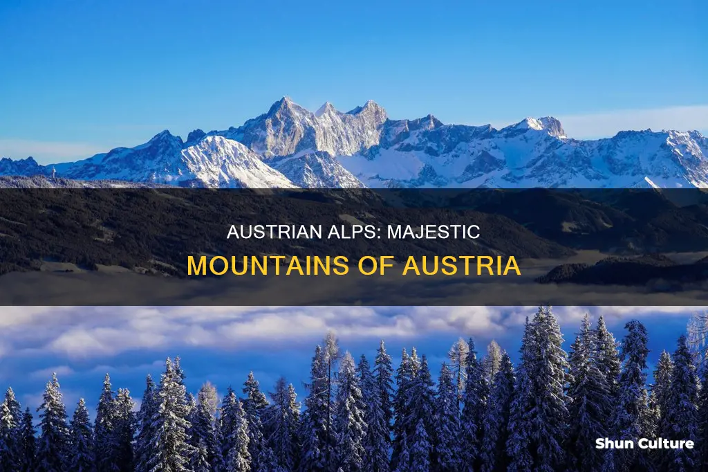 what are the mountains in austria called