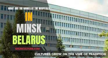 Hospitals of Minsk: A Comprehensive List of Names