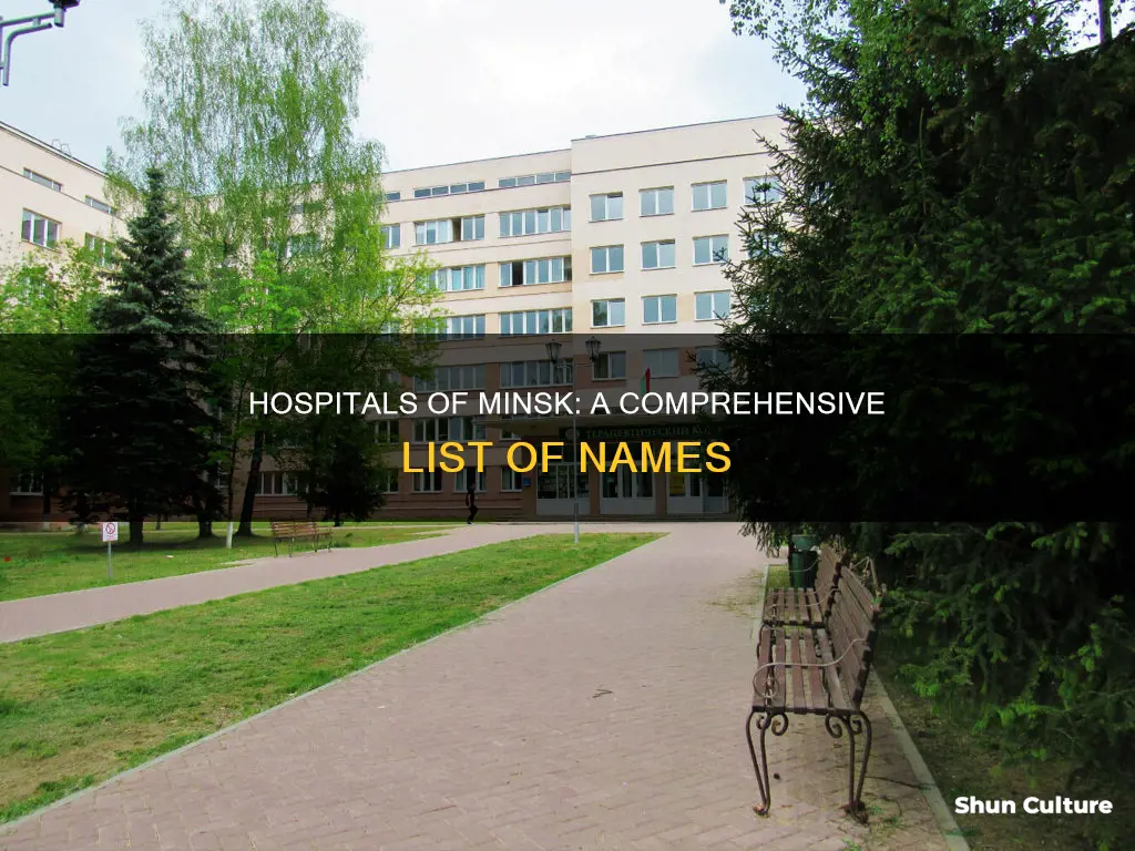 what are the names of the hospitals in minsk belarus