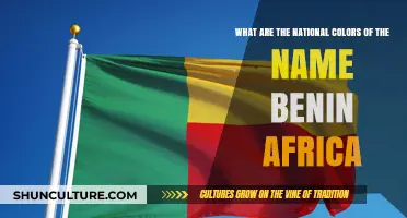 Exploring the Vibrant National Colors of Benin, Africa