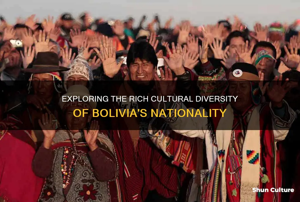 what are the nationality in bolivia