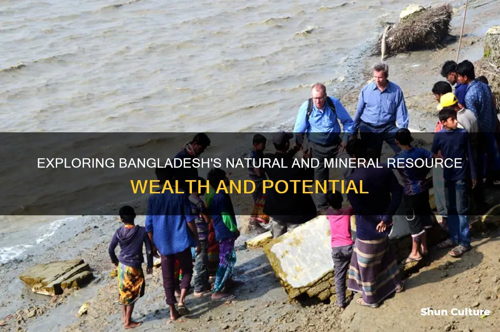 what are the natural and mineral resources of bangladesh