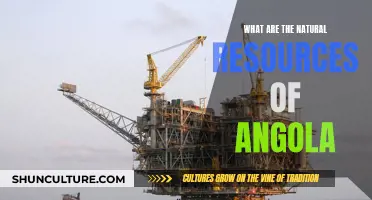 Angola's Natural Wealth: Resources and Opportunities