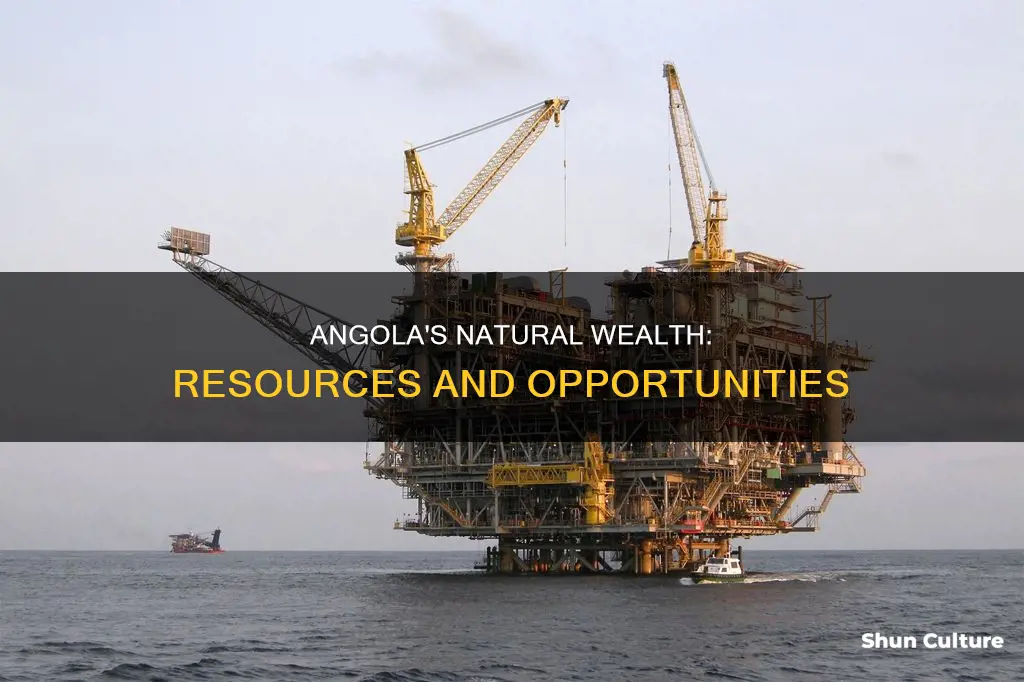 what are the natural resources of angola