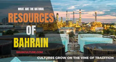 Bahrain's Natural Wealth: Resources and Future Prospects