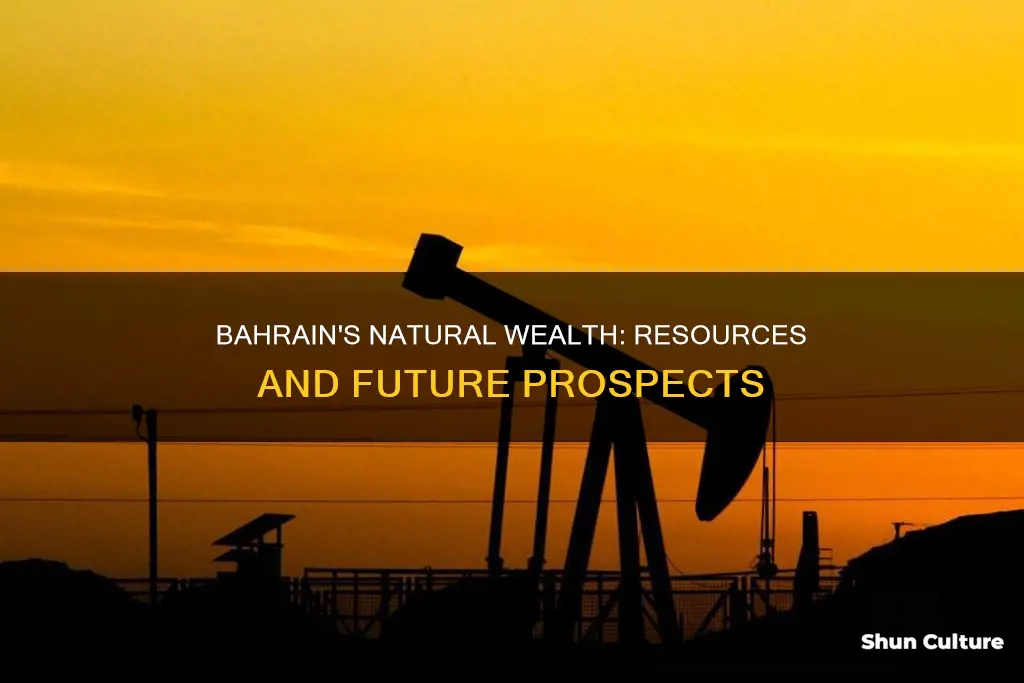 what are the natural resources of bahrain