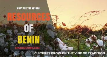 Exploring Benin's Rich Natural Resources: A Comprehensive Guide