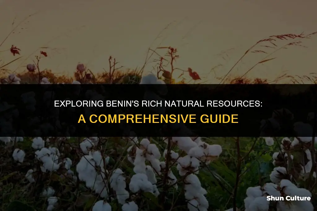 what are the natural resources of benin