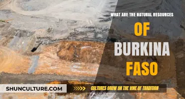 Exploring Burkina Faso's Rich Natural Resources: A Comprehensive Guide