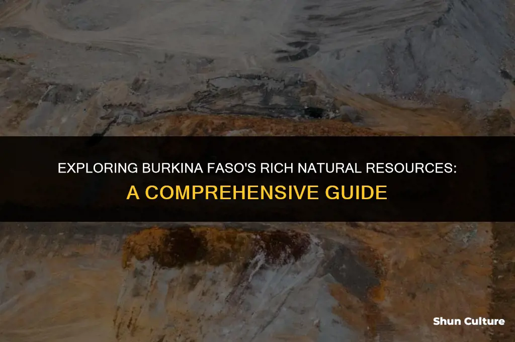 what are the natural resources of burkina faso