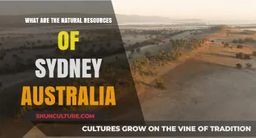 Sydney's Natural Wealth: Exploring Australia's Iconic City Resources