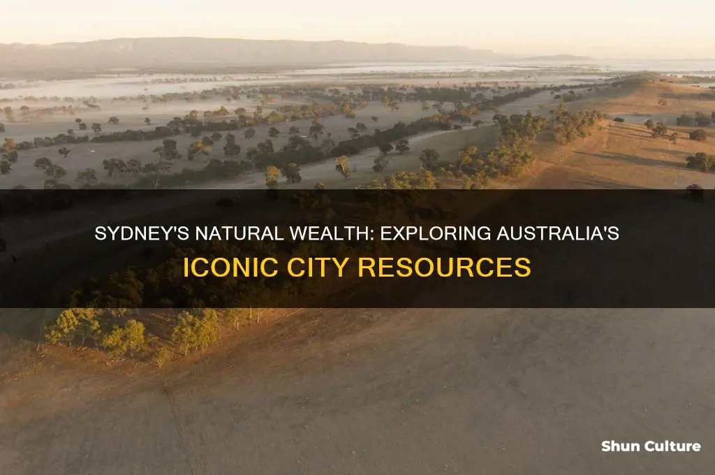 what are the natural resources of sydney australia
