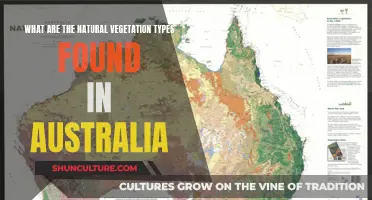 Australia's Natural Vegetation: Exploring Diverse Plant Life