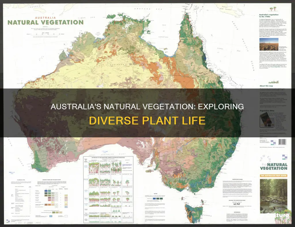 what are the natural vegetation types found in australia