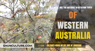 Western Australia's Unique Natural Vegetation Types