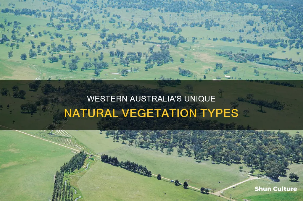 what are the natural vegetation types of western australia