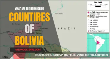 Exploring Bolivia's Neighbors: Which Countries Share Its Borders?