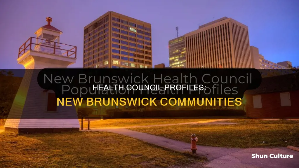 what are the new brunswick health council community profiles