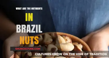Brazil Nuts: Unlocking Their Essential Nutrients and Health Benefits