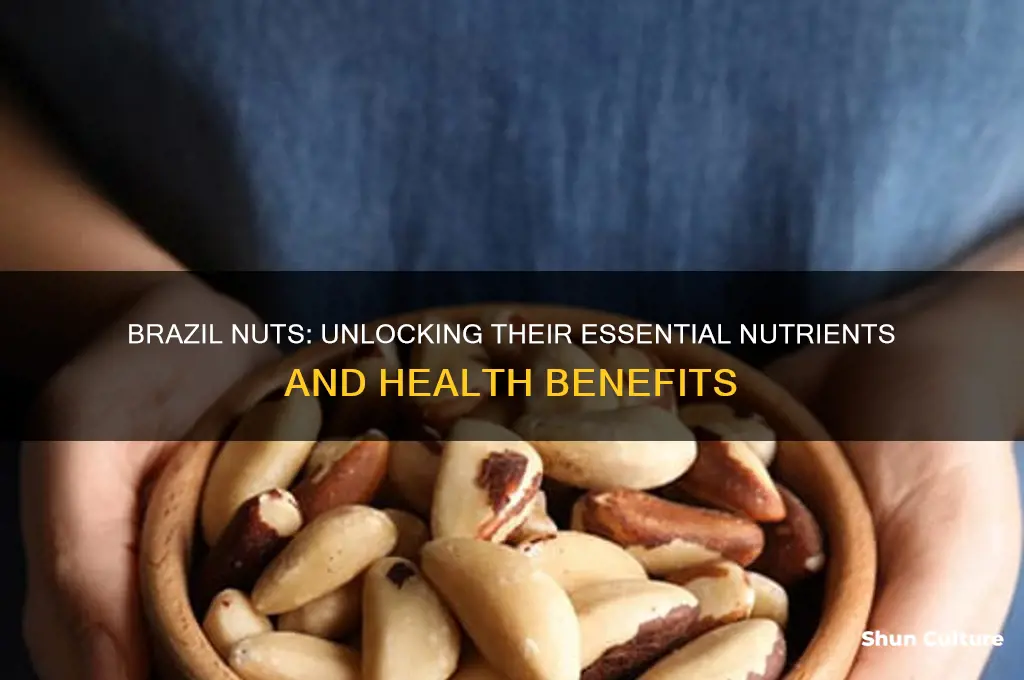 what are the nutrients in brazil nuts