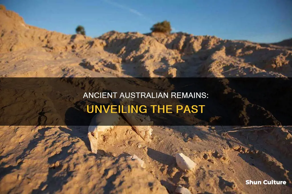 what are the oldest remains found in australia