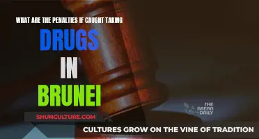 Drug Offenses: Brunei's Strict Penalties and Punishments