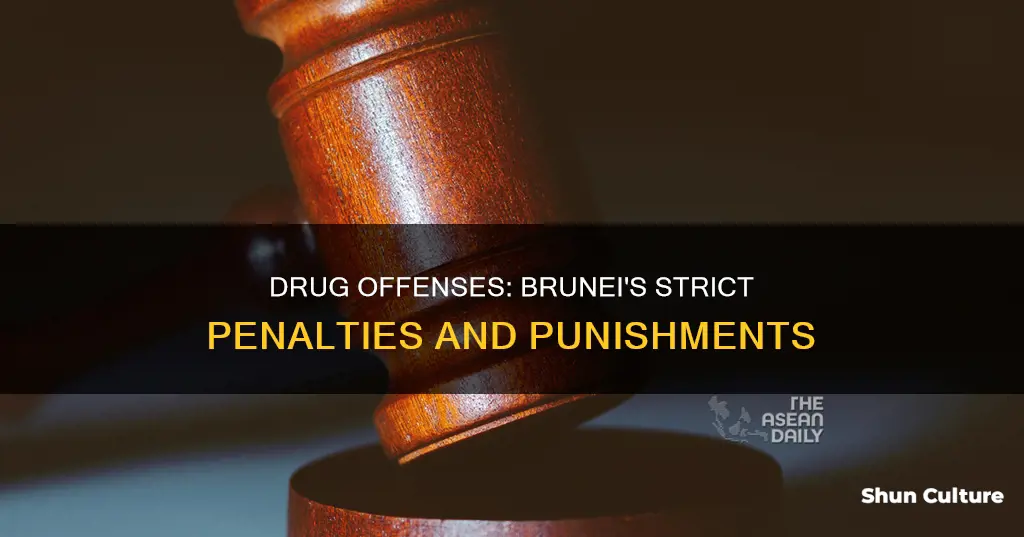 what are the penalties if caught taking drugs in brunei