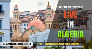 Exploring Algeria's Diverse Population: Who Are Its People?