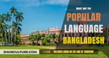 Exploring Bangladesh's Most Spoken Languages: A Cultural and Linguistic Journey