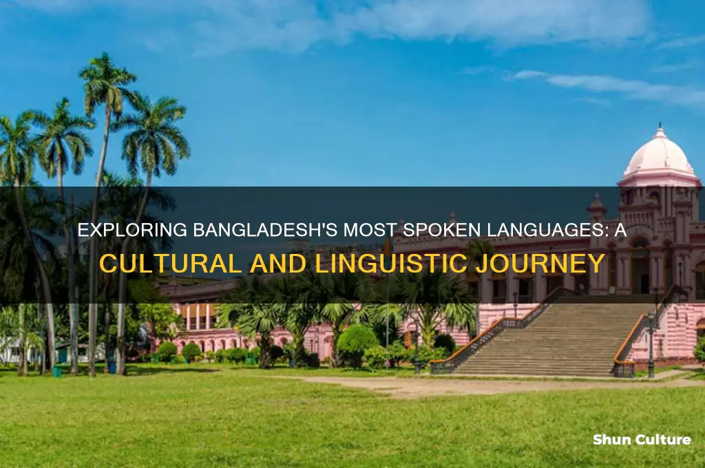 what are the popular language bangladesh