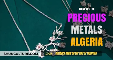 Algeria's Precious Metals: Unveiling the Country's Valuable Mineral Wealth