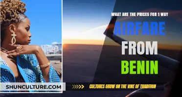 Exploring Airfare Options: One-Way Prices from Benin Unveiled