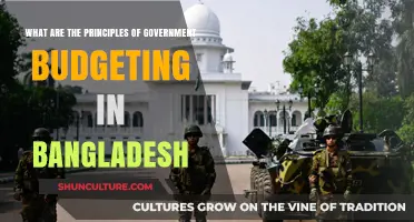Understanding Bangladesh's Government Budgeting Principles: Key Concepts and Practices